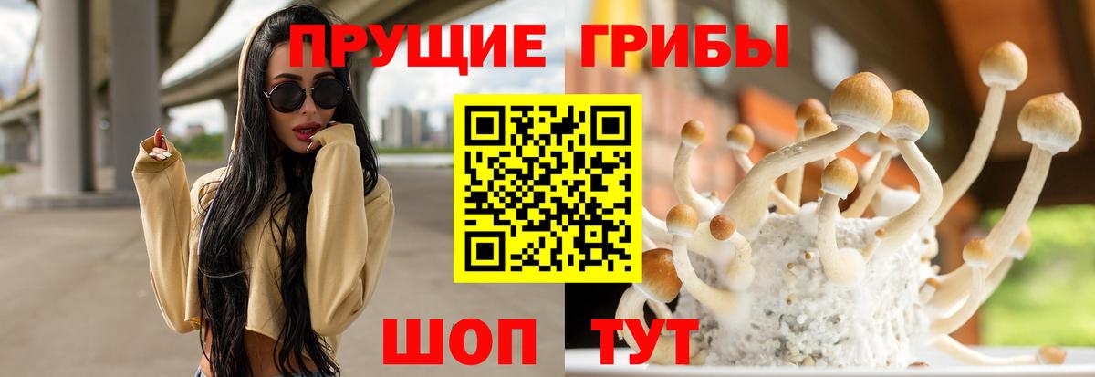 Йошкар-Ола  Галлюциногенные грибы мицелий  купить наркотик  Вход с VPN 