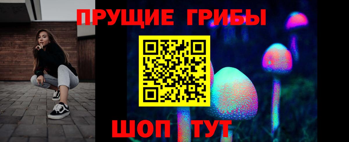 Галлюциногенные грибы прущие грибы Йошкар-Ола